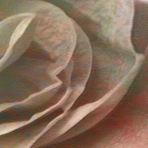 flower-dance-abstract-detail-2 flower-dance-abstract-detail-2