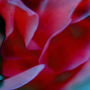 romance-abstract-detail-2