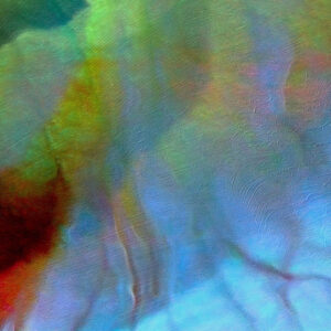 secret-garden-abstract-detail-1