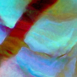 secret-garden-abstract-detail-2