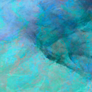 life-is-a-gift-abstract-detail-1