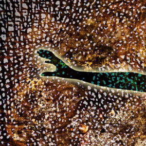 rise-of-the-divine-feminine-abstract-detail-1