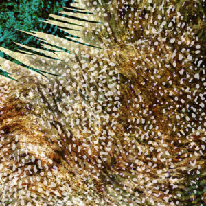 rise-of-the-divine-feminine-abstract-detail-2