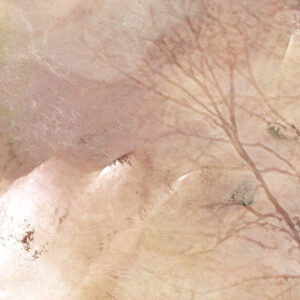 cornerstone-abstract-detail-1