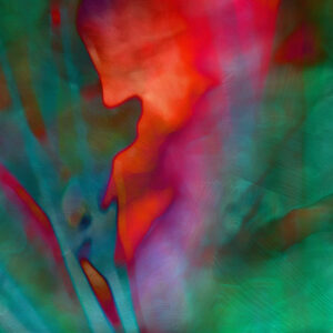 tropical-splendor-abstract-detail-1