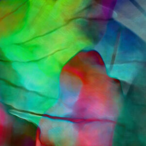 tropical-splendor-abstract-detail-2