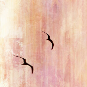 flight-home-abstract-detail-1
