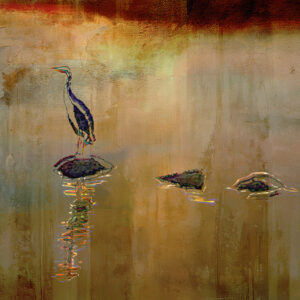 potter-pond-abstract-detail-1