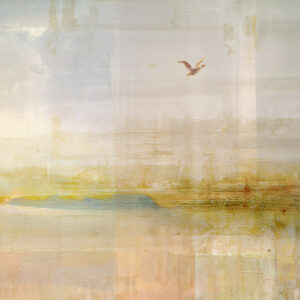 potter-pond-abstract-detail-2