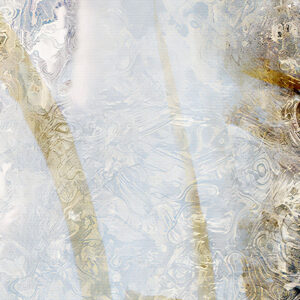 elegant-surprise-abstract-detail-1